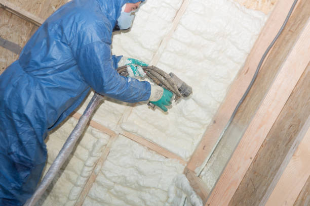 Best Eco-Friendly or Green Insulation Solutions  in Mead Valley, CA